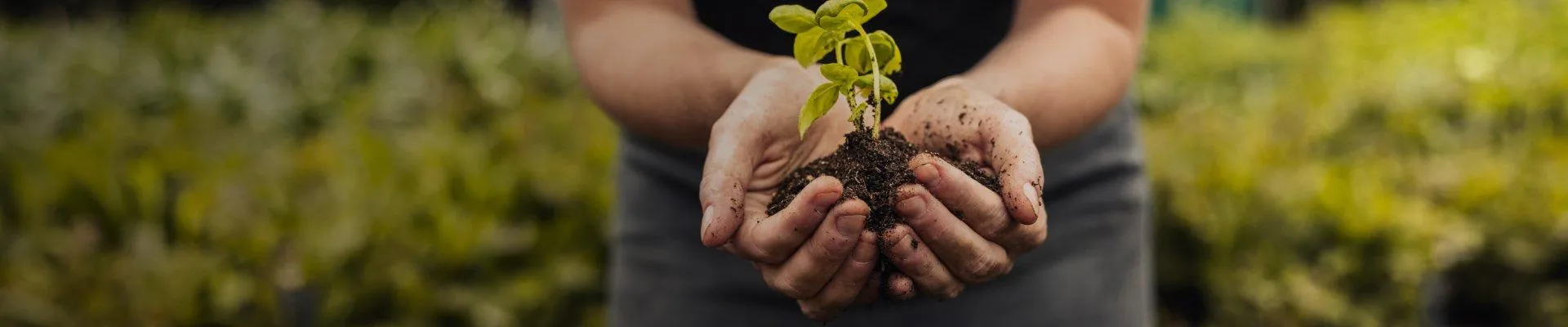 WIR SCHAFFEN IM HEUTE DAS MORGEN